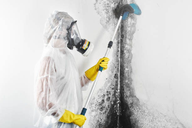 Best Air Quality Testing for Mold Spores  in Berwyn Heights, MD