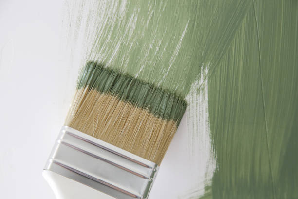 Best Black Mold Removal  in Berwyn Heights, MD