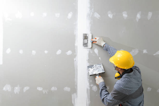 Best Real Estate Mold Inspection  in Berwyn Heights, MD
