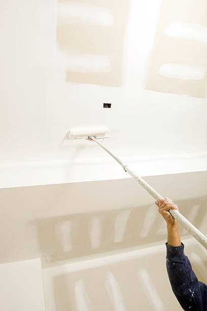 Best Black Mold Removal  in Berwyn Heights, MD