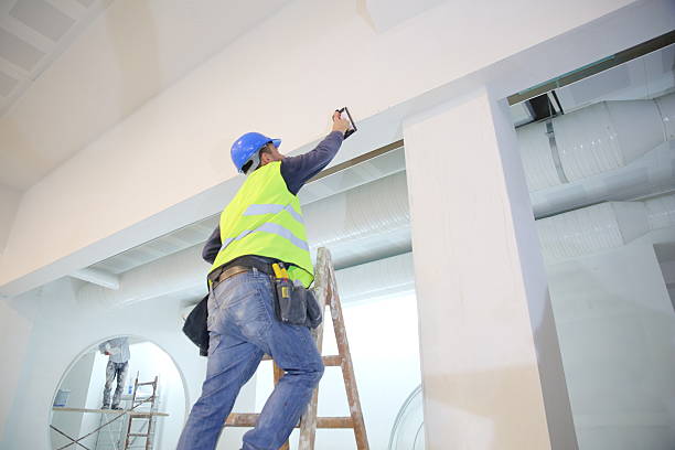 Best Water Damage & Mold Remediation  in Berwyn Heights, MD