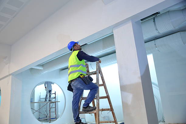 Best Commercial Mold Inspection  in Berwyn Heights, MD