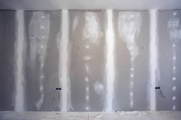 Best Comprehensive Air Testing for Mold Contaminants  in Berwyn Heights, MD